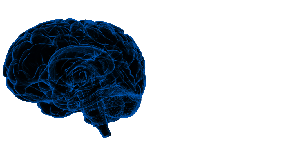 Virtual Brain